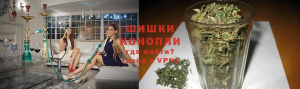 метадон Белокуриха